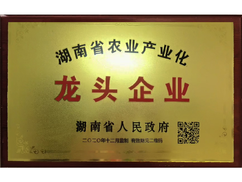 岳陽市漁之源食品有限公司,岳港漁都,洞庭魚港,散稱系列,田螺系列,臭豆腐加工，香豆腐加工，烤脖加工，魚仔,鴨排加工、雞丁加工代加工